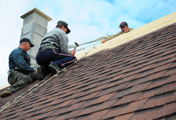 Professional Roofing Contractor in Shadybrook, TX